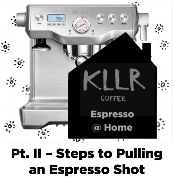 Espresso @ Home Pt. II - Steps to Pulling an Espresso Shot